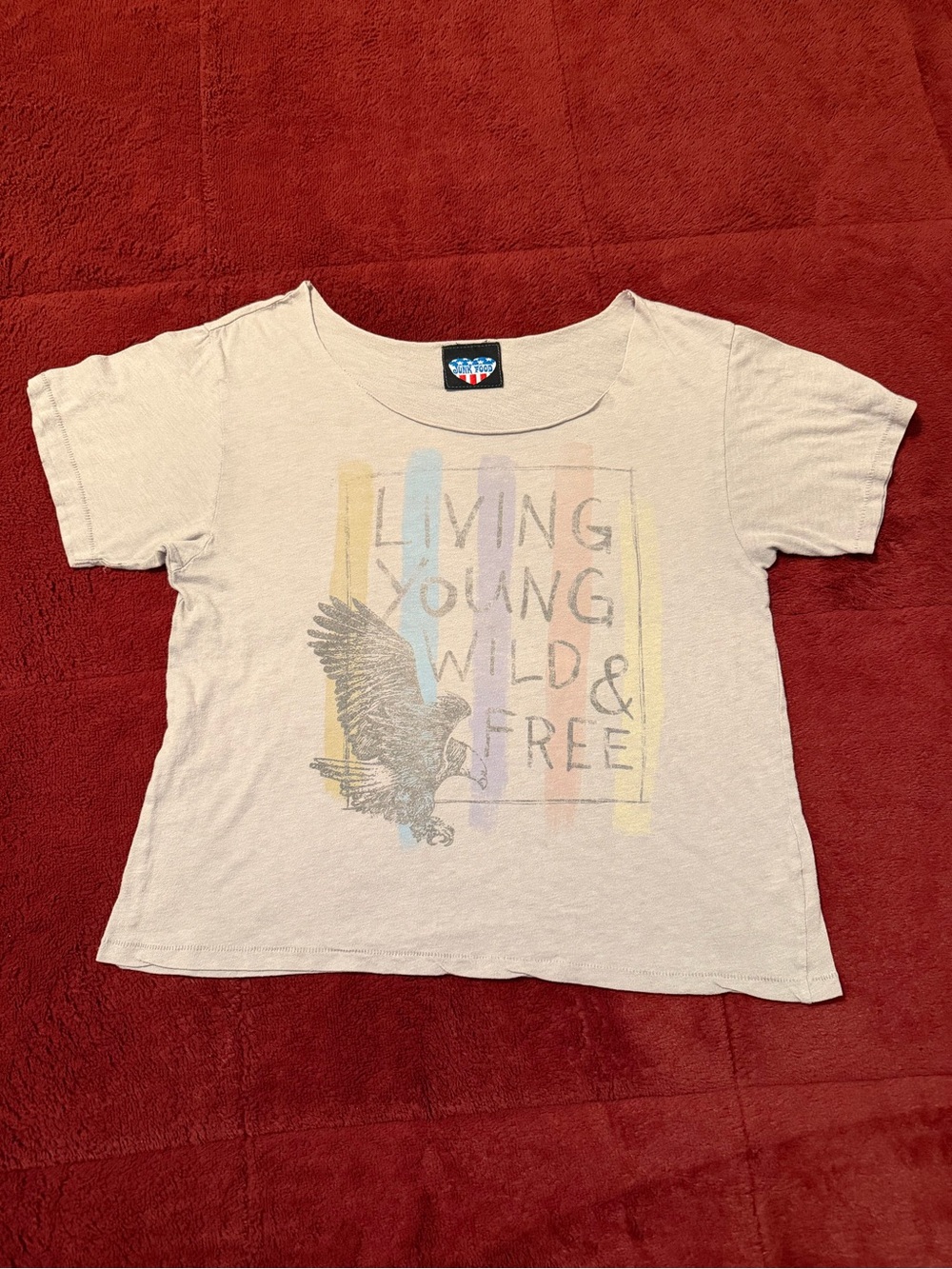 Junk Food Clothing Graphic Tee Medium Grey Retro Eagle Living Young Wild Free